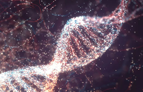 研究人员现在可以从空气收集DNA并对其进行测序
