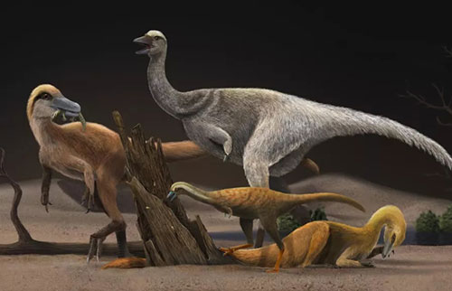 奇怪的恐龙迅速缩小成鸡大小的食蚁兽