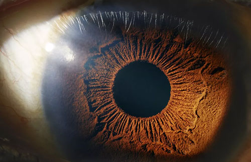 你的眼睛可能会揭示你的真实生理年龄