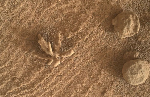 好奇号火星车拍摄了火星上微小的“矿物花”的特写镜头