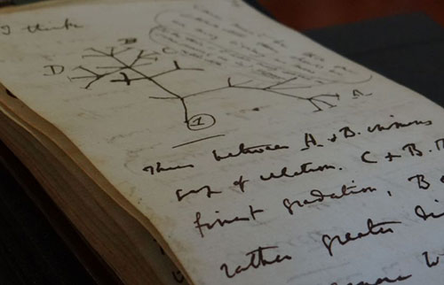 查尔斯达尔文被盗的“生命之树”笔记本20年后归还